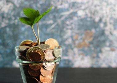 Coins in a glass jar with a seedling growing in it